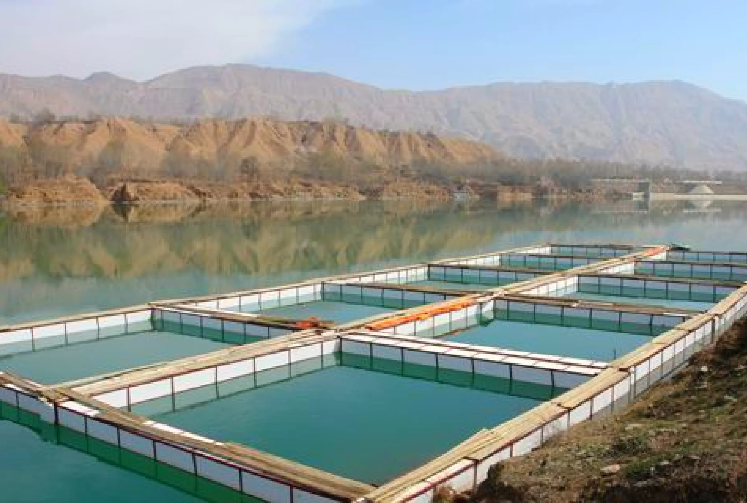4、为冬季特殊水产养殖池提供水温恒定配套